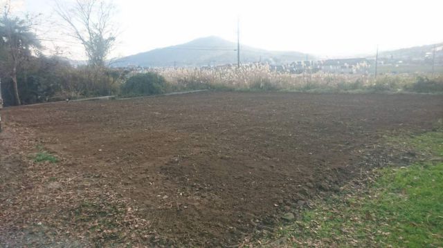 プレハブ撤去＆草刈りｉｎ志和の画像