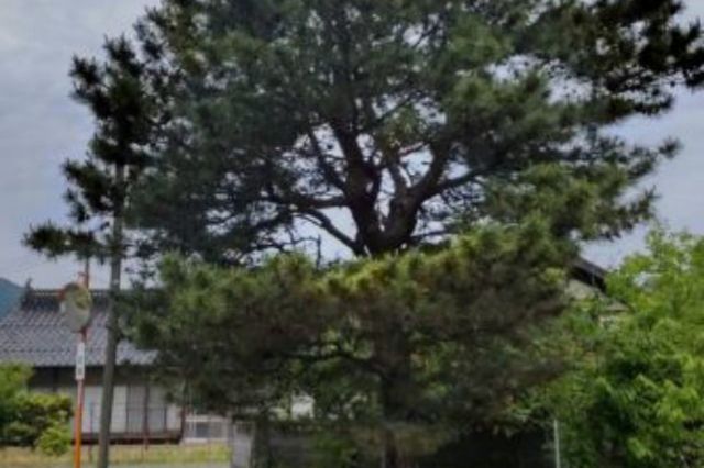 Before画像1